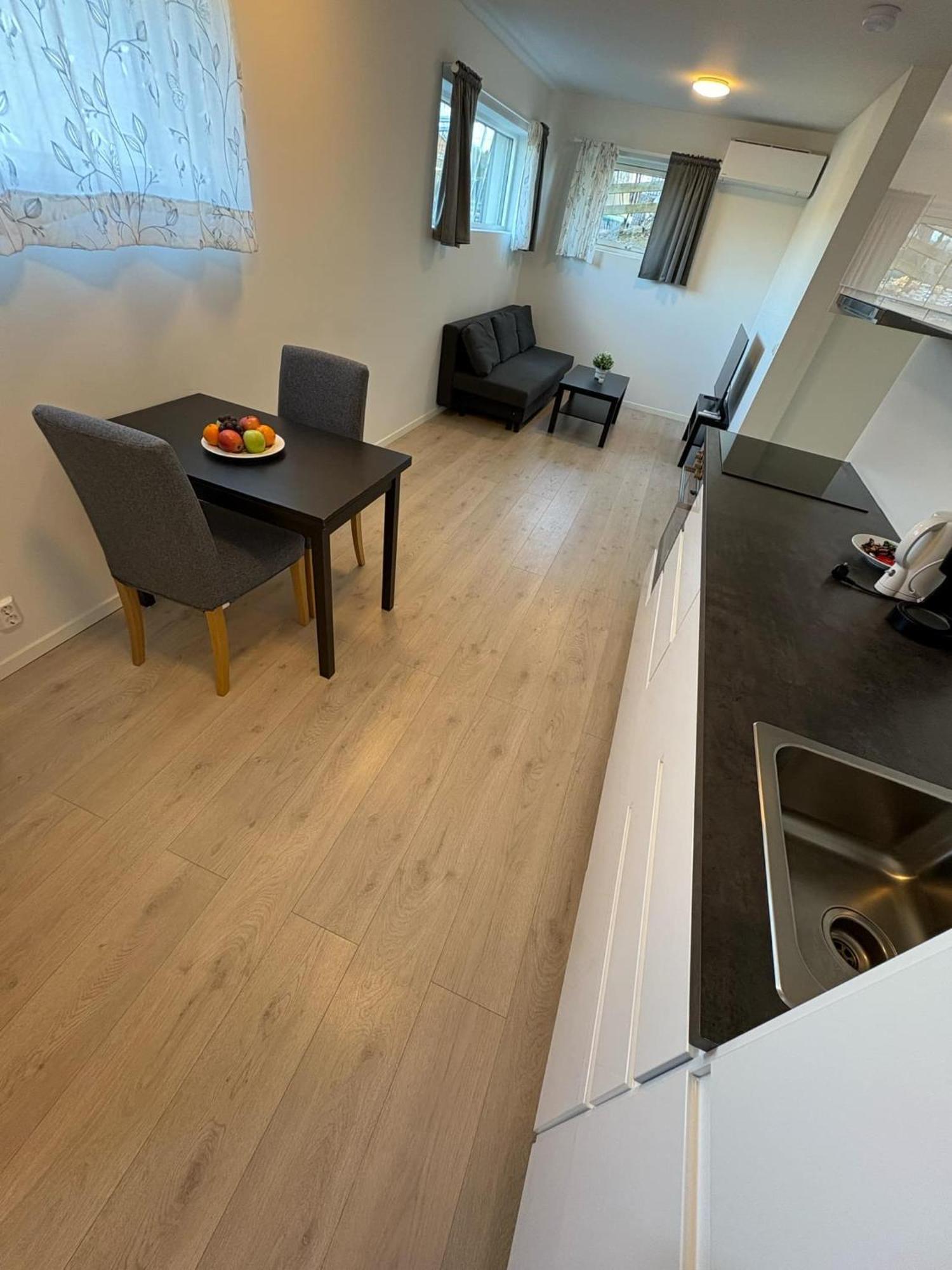Temis Apartment, Private New 1 Bed And 1 Living With Sofa Bad And Lagre Kitchen, Share With Nobody * Oslo